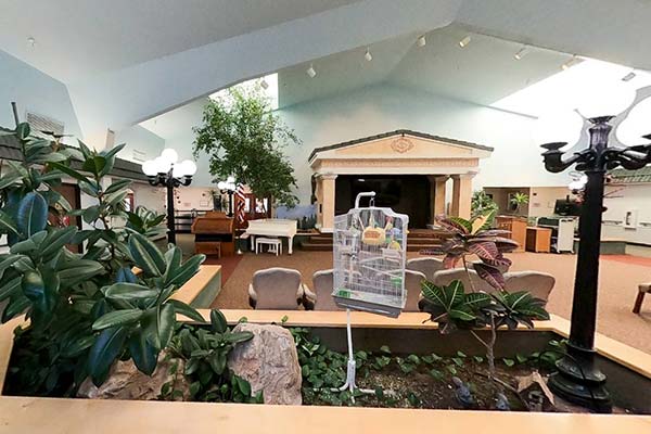 Apple Village amphitheater space with natural light, tall ceilings and live plant life