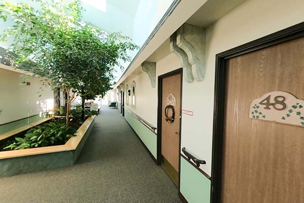 Apple Village indoor halls with natural light and live trees and plants